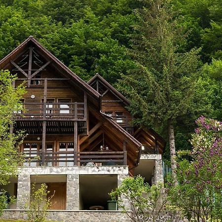 Florile Bucegilor Villa Sinaia Luaran gambar