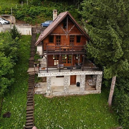 Florile Bucegilor Villa Sinaia Luaran gambar