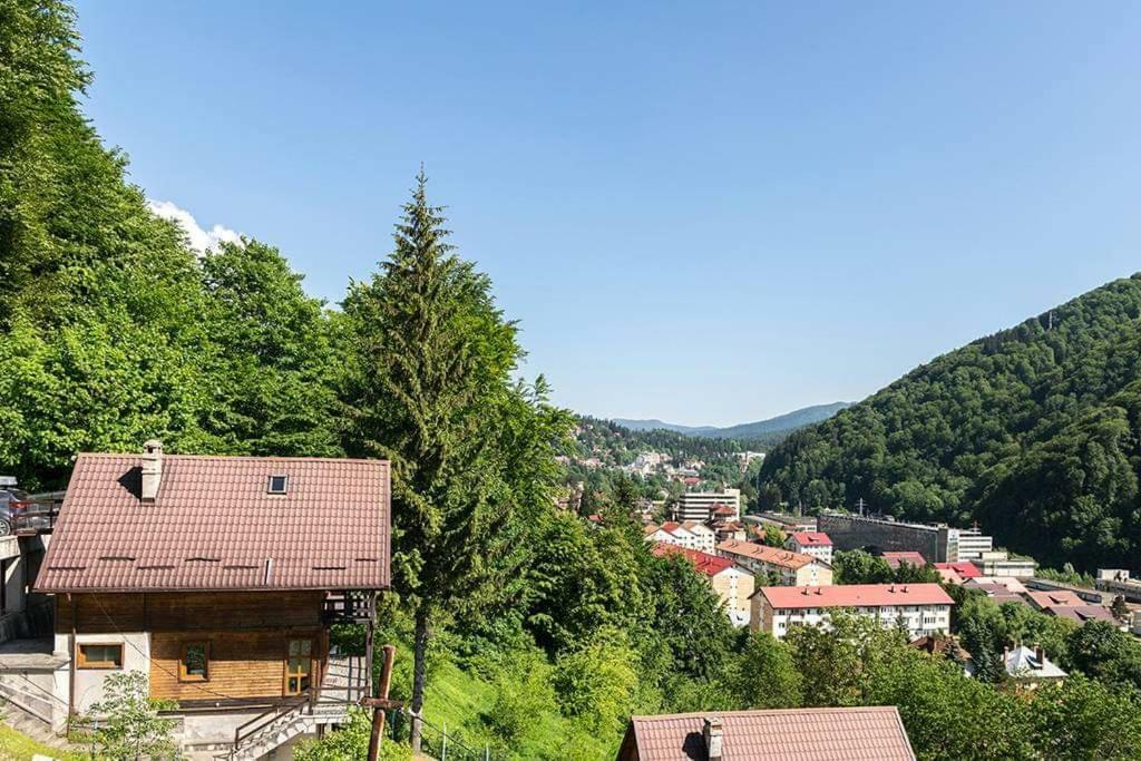 Florile Bucegilor Villa Sinaia Luaran gambar