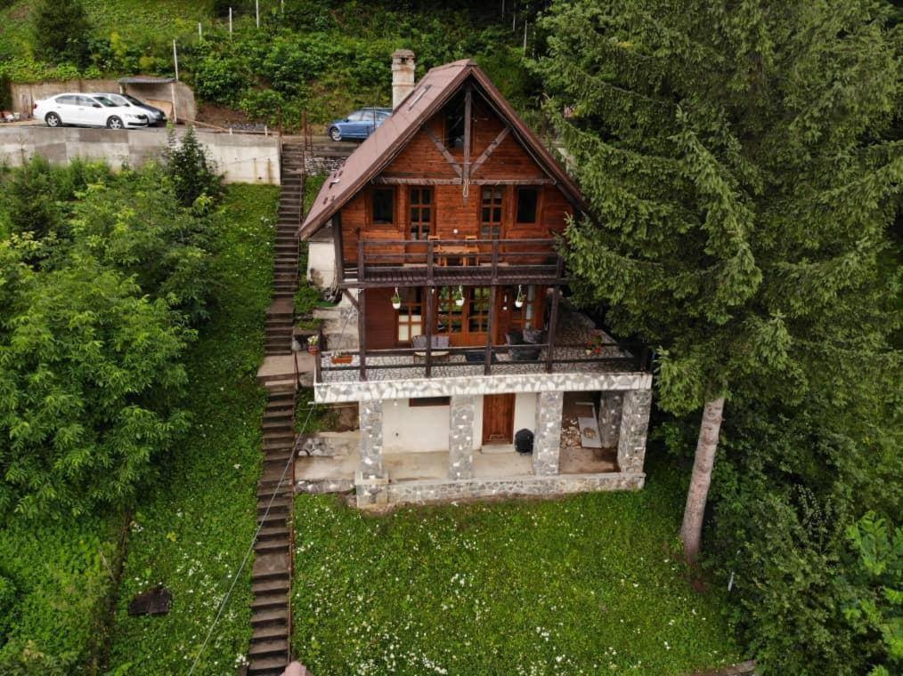 Florile Bucegilor Villa Sinaia Luaran gambar