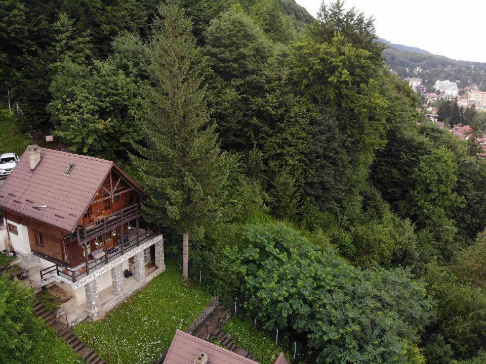 Florile Bucegilor Villa Sinaia Luaran gambar